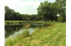 Property photo 15 - 160 Acres Offered in 6 Tracts